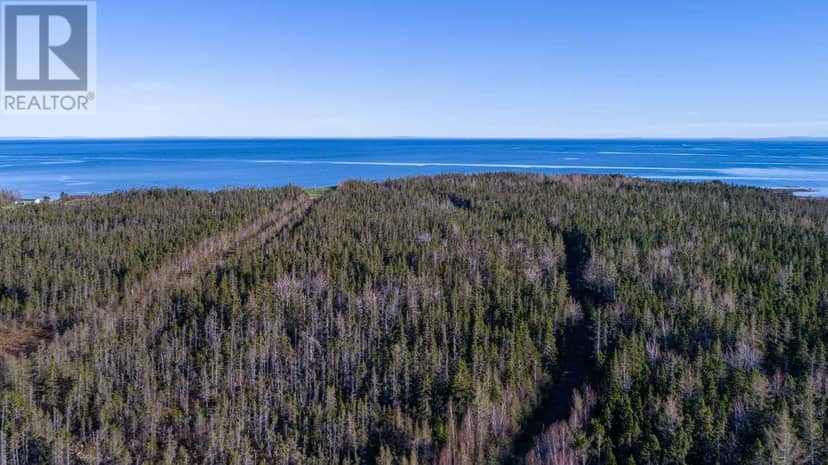 Acreage Shore Road — photo 5 of 21