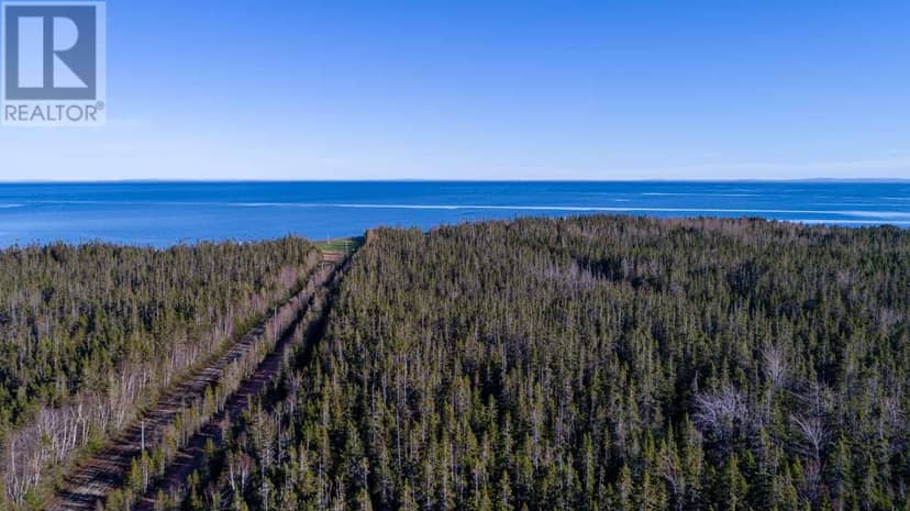 Acreage Shore Road — photo 6 of 21