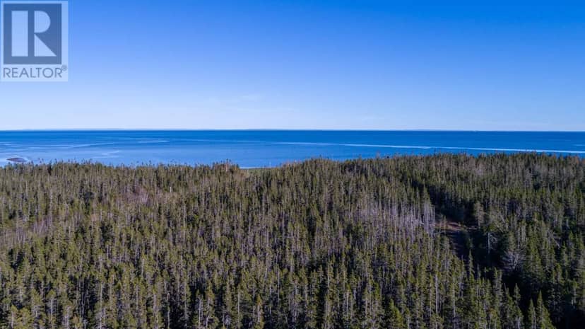 Acreage Shore Road — photo 8 of 21