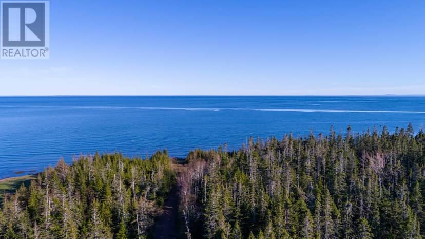 Acreage Shore Road — photo 9 of 21