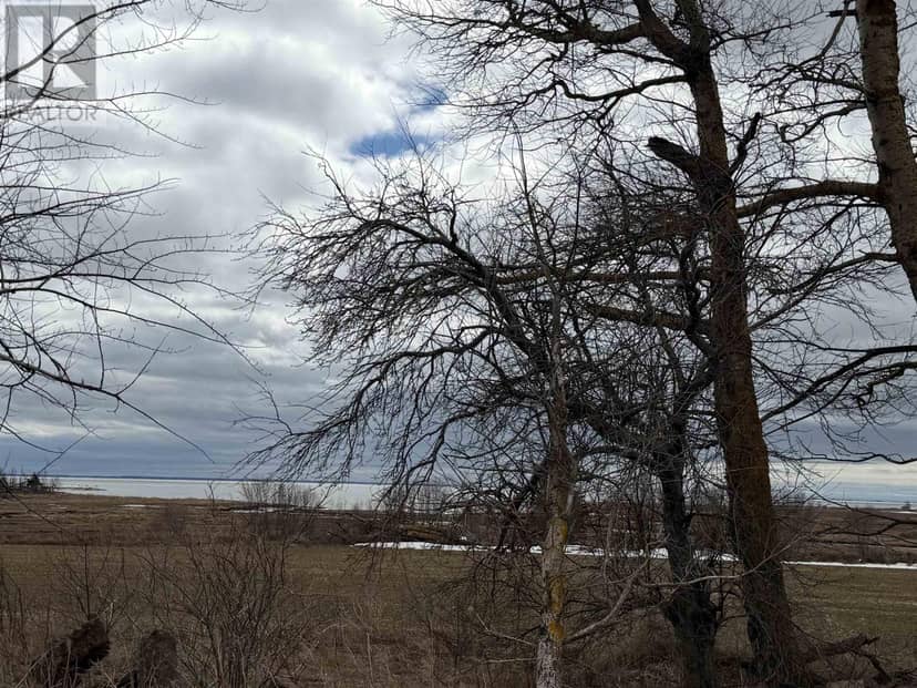 Lot Pownal Road, Alexandra, photo 7