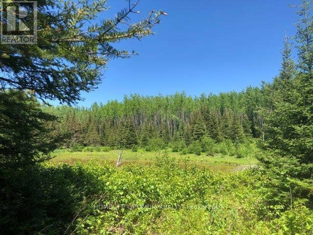 38.24 Acres In Ogden Township Pcl 24640 — photo 2 of 10