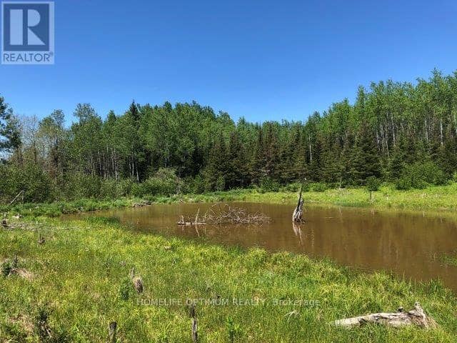 38.24 Acres In Ogden Township - Pcl 24640, Timmins, photo 3