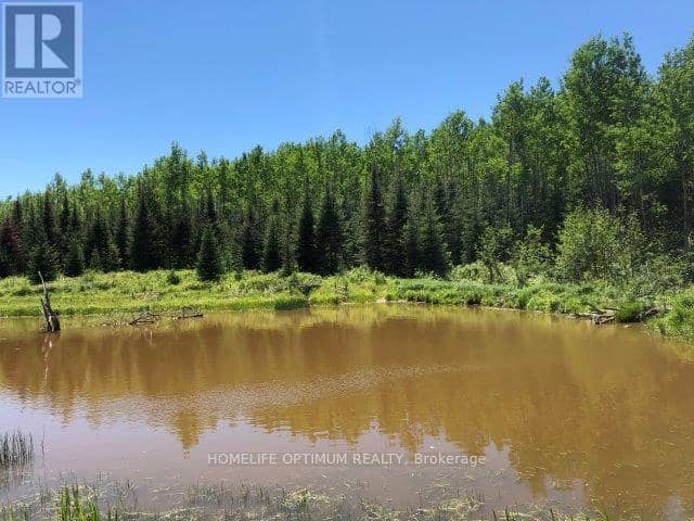 38.24 Acres In Ogden Township - Pcl 24640, Timmins, photo 5