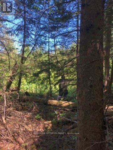 38.24 Acres In Ogden Township Pcl 24640 — photo 7 of 10