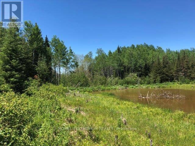 38.24 Acres In Ogden Township - Pcl 24640, Timmins, photo 2