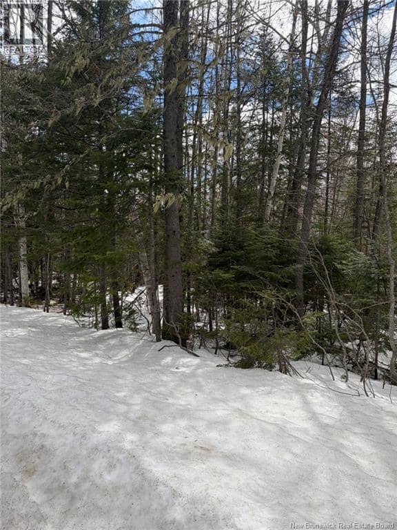 3.7 Acres Route 435 — photo 4 of 7