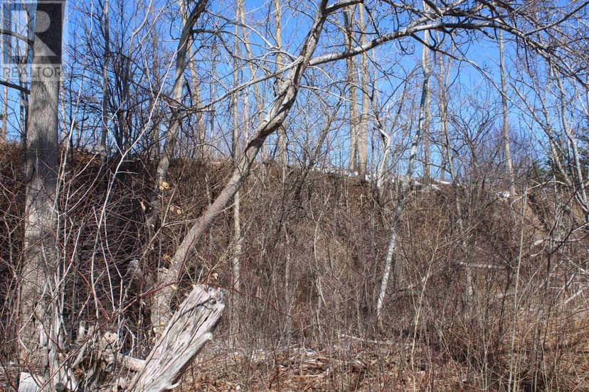 Lot Granville Road — photo 34 of 37
