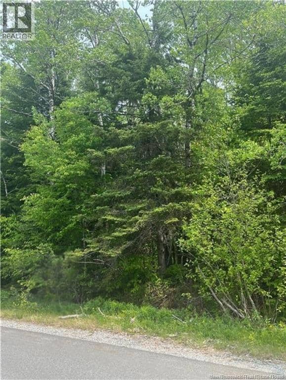 444 Bradley Lake Road, Quispamsis