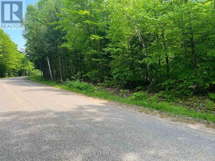 387 Sunny Hill Road, Madawaska Valley, photo 4