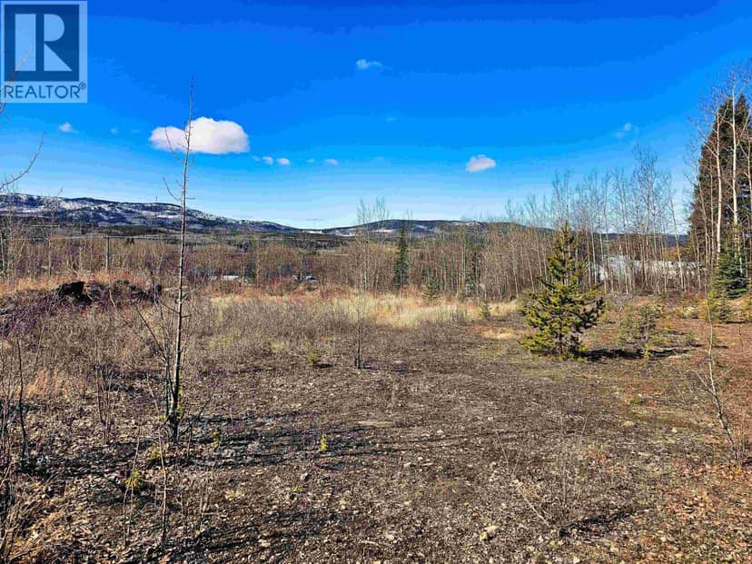 970 NASH ROAD, Burns Lake, photo 3
