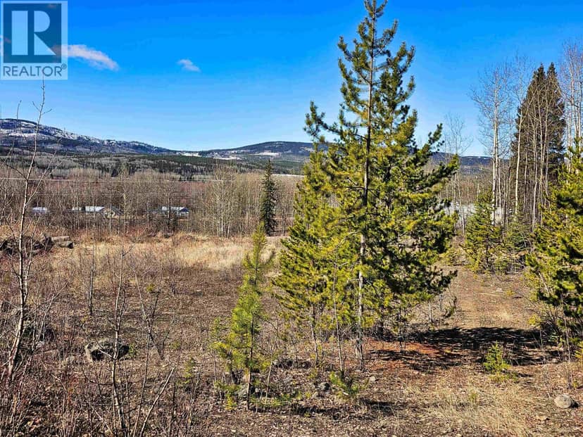 970 NASH ROAD, Burns Lake, photo 2
