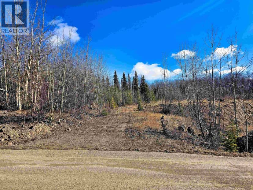 970 NASH ROAD, Burns Lake, photo 4