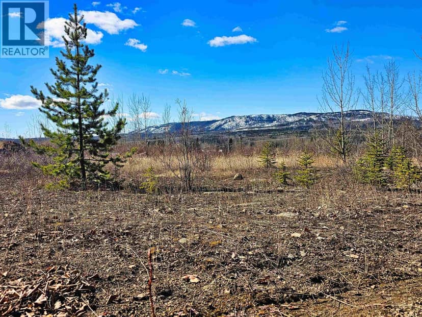 970 NASH ROAD, Burns Lake, photo 7