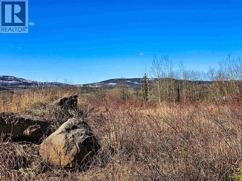 970 NASH ROAD, Burns Lake, photo 8