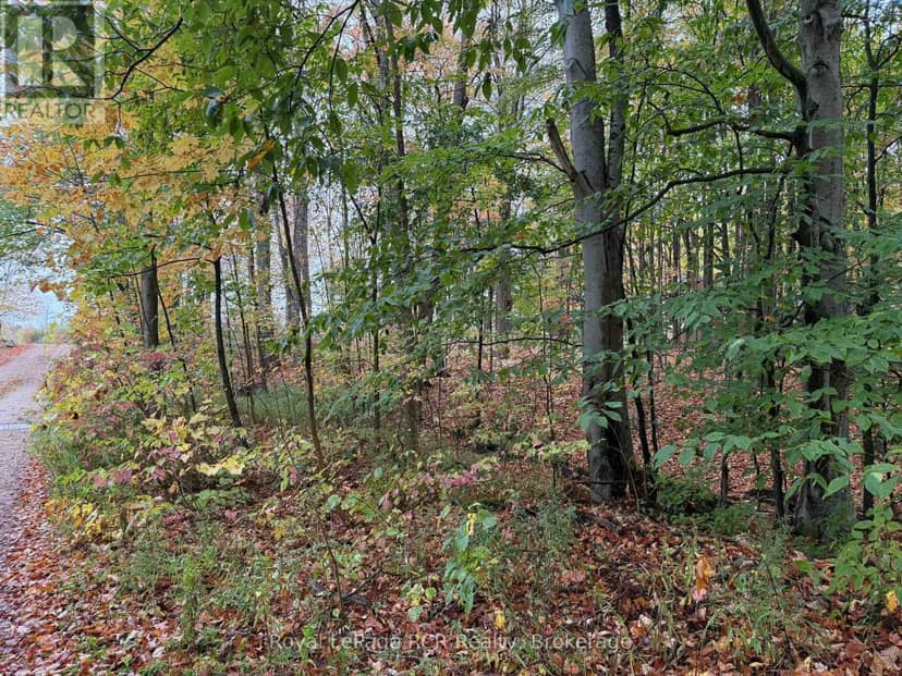 Lot 8 Green Acres Road — photo 14 of 19