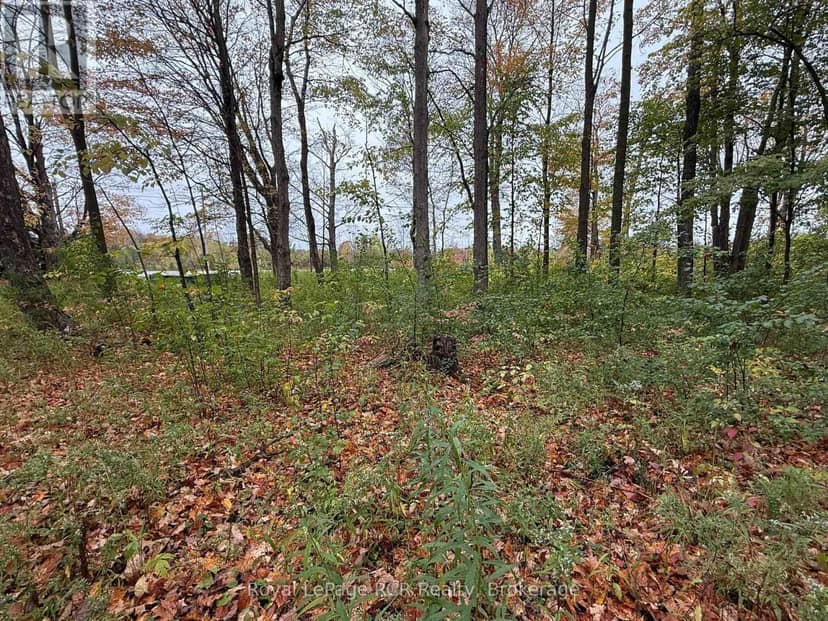 Lot 8 Green Acres Road — photo 16 of 19