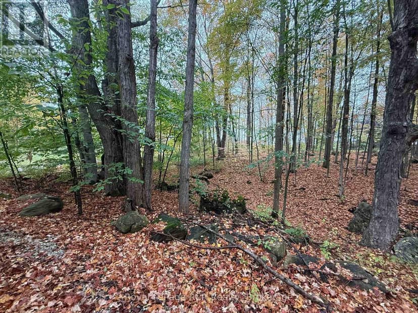 Lot 8 Green Acres Road — photo 19 of 19
