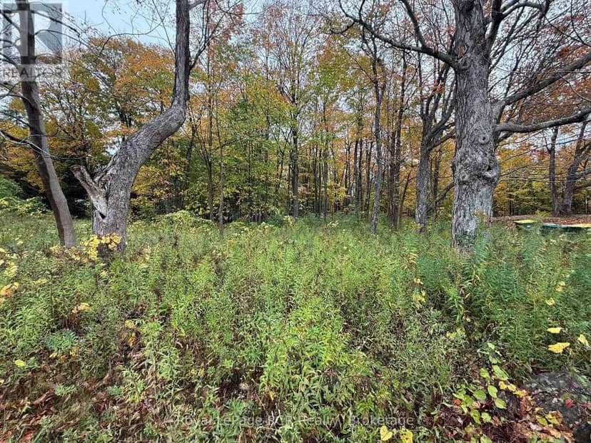 Lot 8 Green Acres Road, Grey Highlands, photo 8