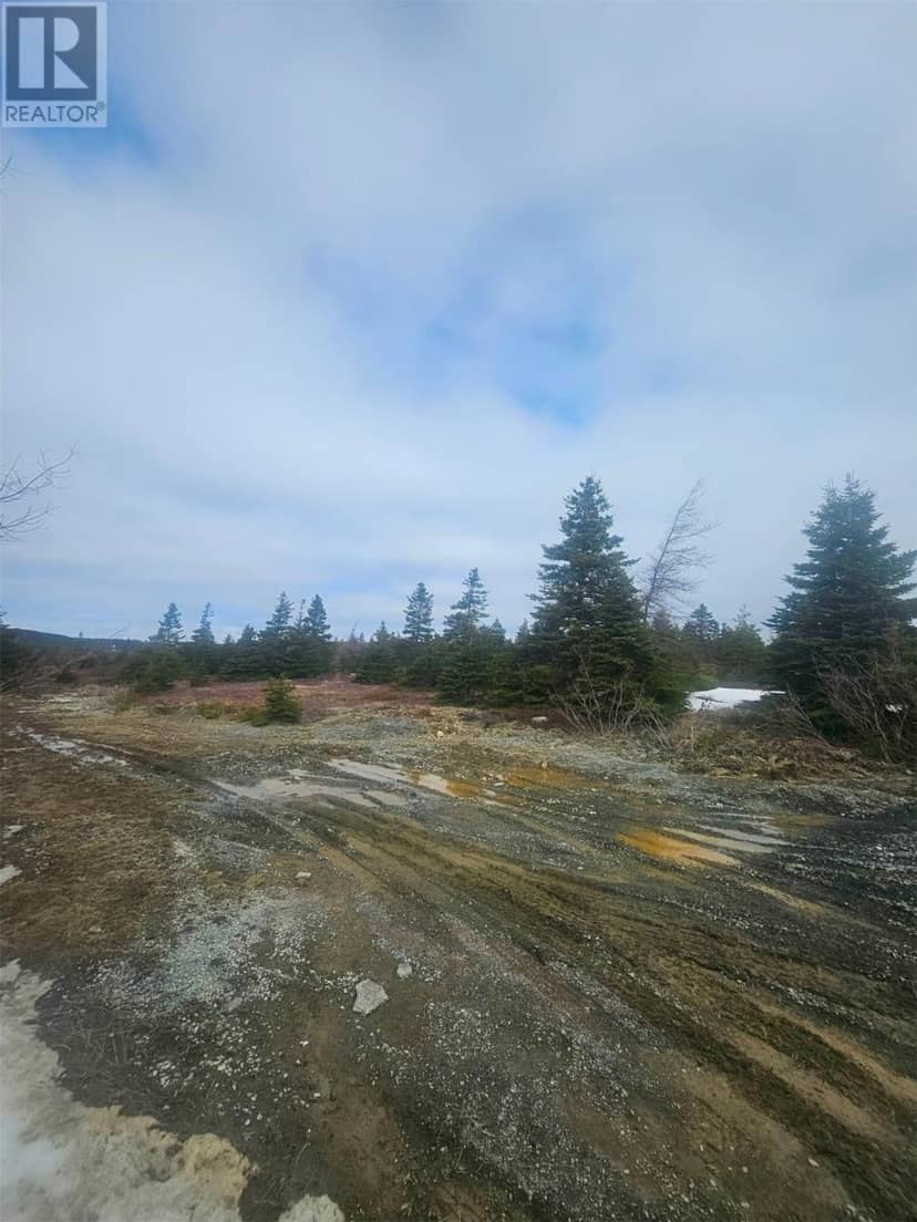 153 SEYMOURS Road, Spaniards Bay, photo 2