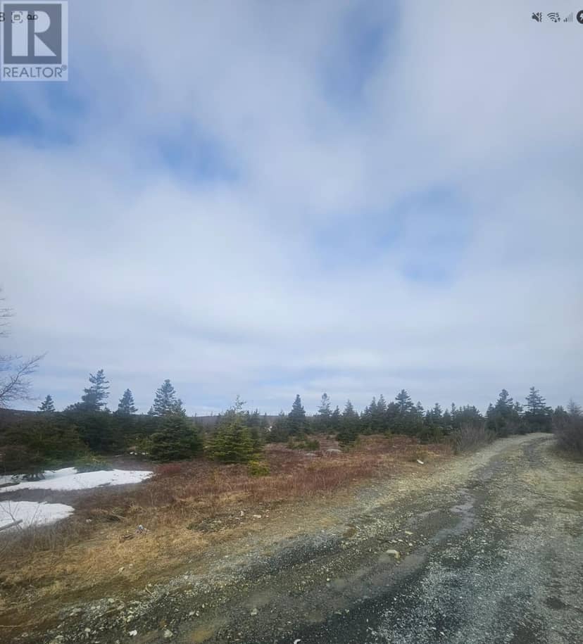 153 SEYMOURS Road, Spaniards Bay, photo 5