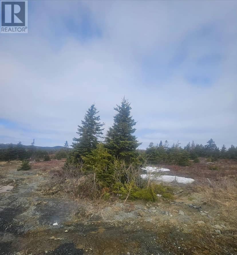 153 SEYMOURS Road, Spaniards Bay, photo 6