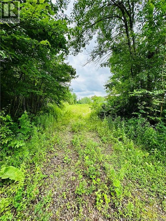 Lot 02-1 Slater Road — photo 21 of 40