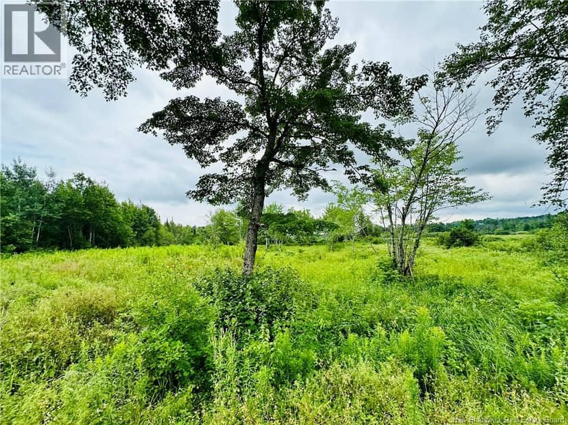 Lot 02-1 Slater Road — photo 35 of 40
