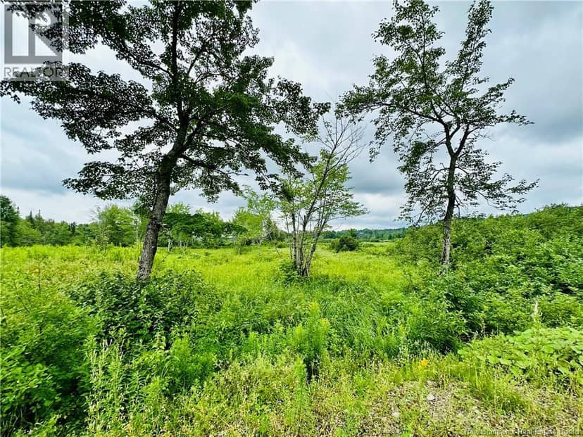 Lot 02-1 Slater Road — photo 36 of 40