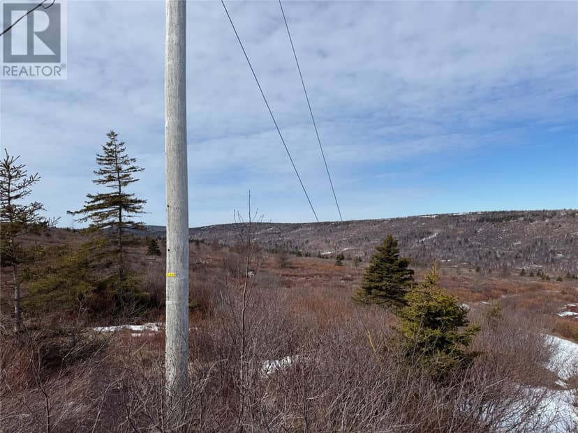 185-189 Bryants Cove Road, Upper Island Cove, photo 3