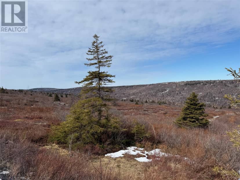 185-189 Bryants Cove Road, Upper Island Cove, photo 5