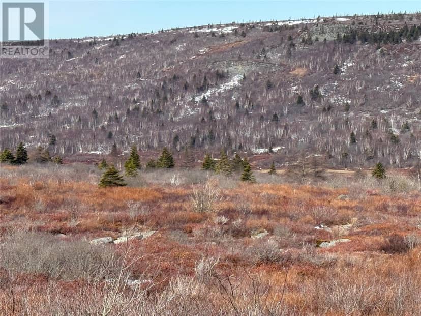 185-189 Bryants Cove Road, Upper Island Cove, photo 7