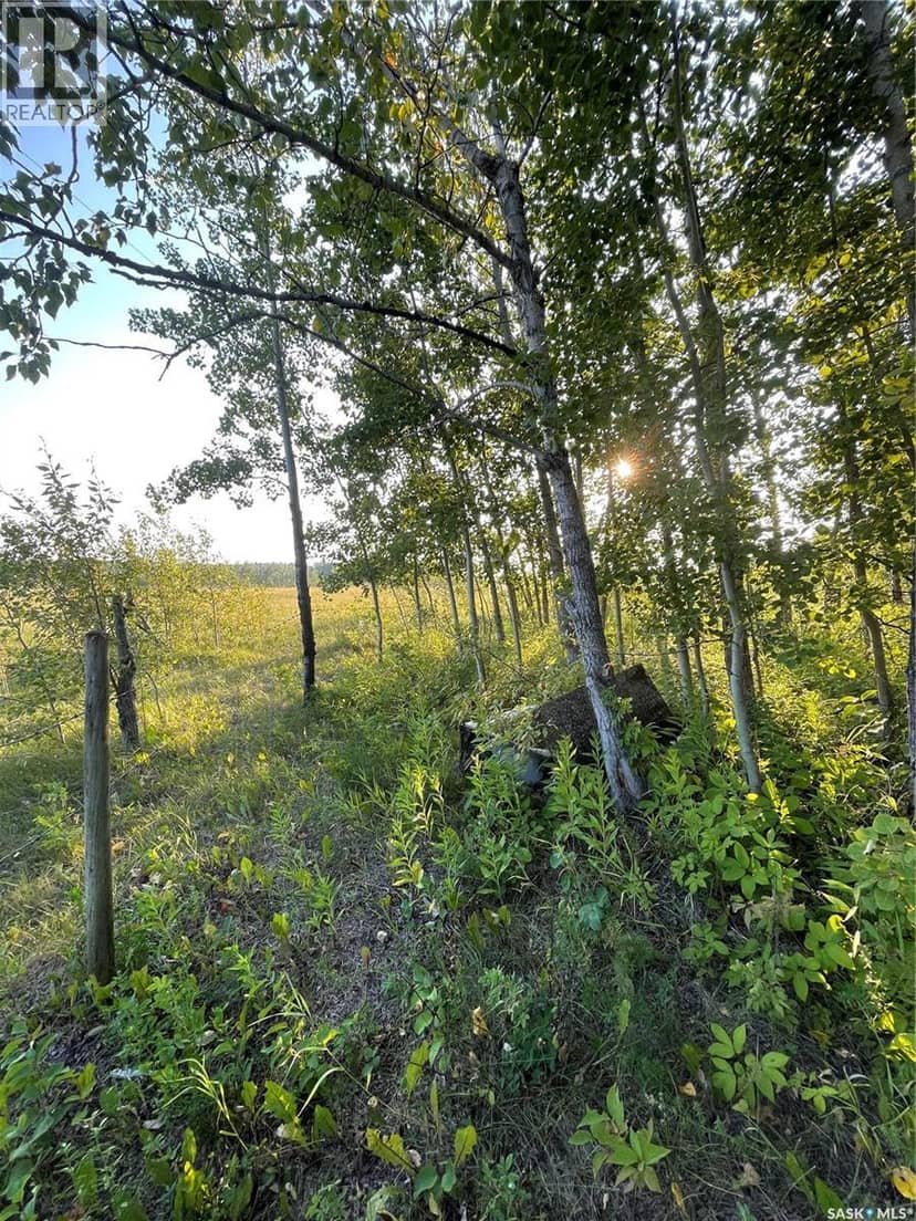 35 acres South Hudson Bay — photo 30 of 40