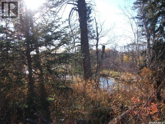 5-3 lot 1.20 Acres, Hudson Bay Rm No. 394, photo 7