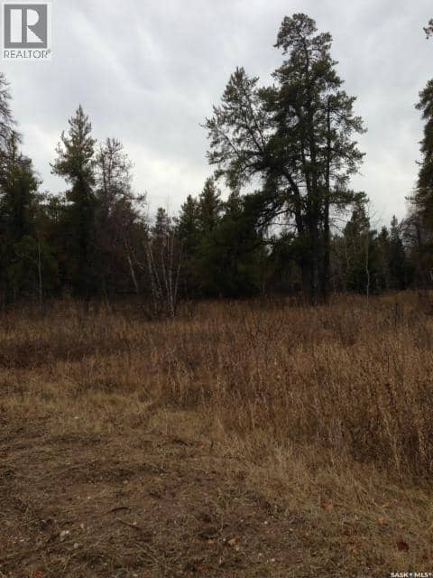 4-3 lot 1.20 acre, Hudson Bay Rm No. 394, photo 7