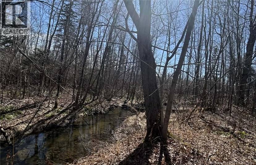 LOT Dr Hamilton Drive — photo 1 of 4