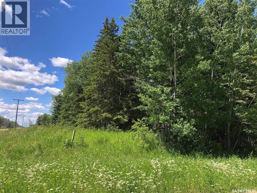 Endeavour Recreation Land, Preeceville Rm No. 334, photo 3