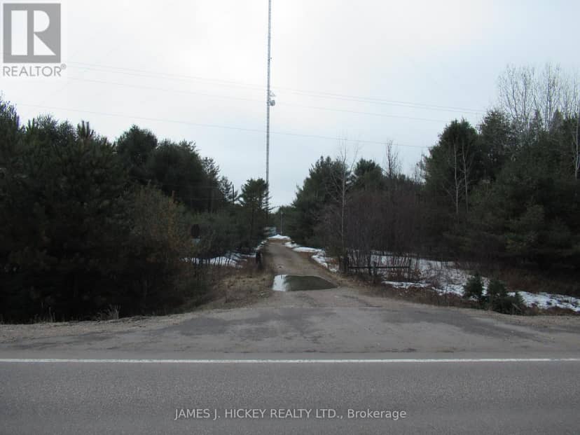 38589 Hwy 17 Highway, Head, Clara and Maria, photo 2