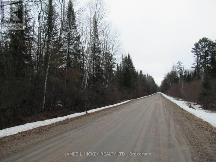 38589 Hwy 17 Highway, Head, Clara and Maria, photo 4