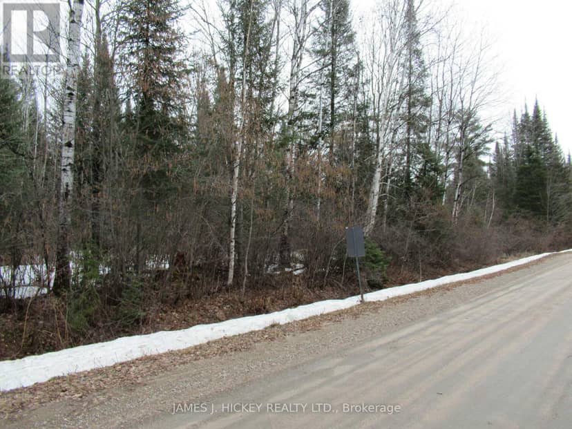38589 Hwy 17 Highway, Head, Clara and Maria, photo 5