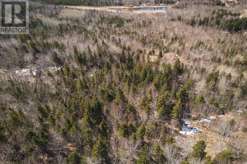 100 Acres Route 19 — photo 14 of 28