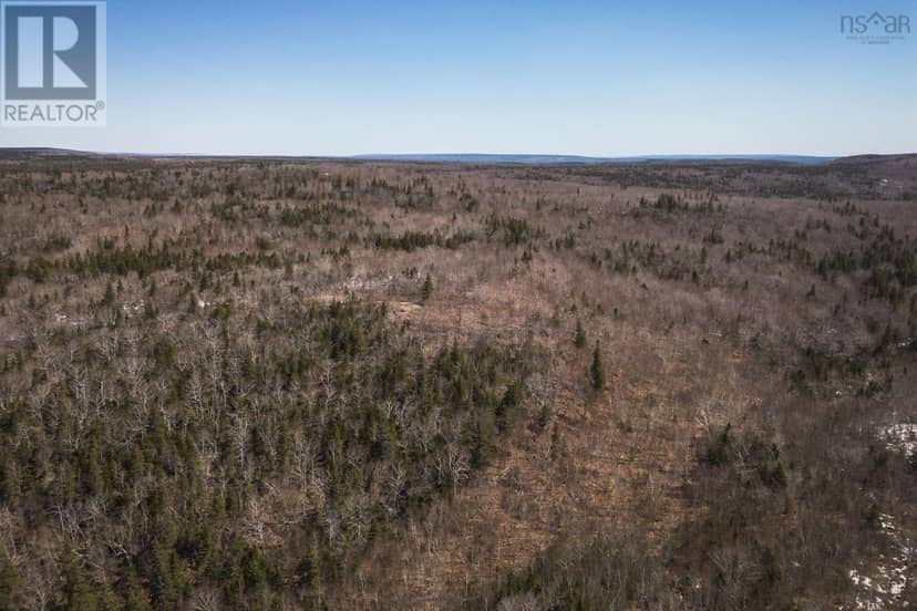 100 Acres Route 19 — photo 16 of 28