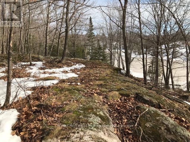 1851 Inverlochy Road — photo 14 of 20