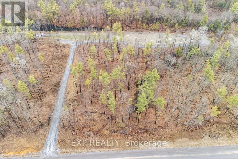 00 Longleaf Way — photo 6 of 10