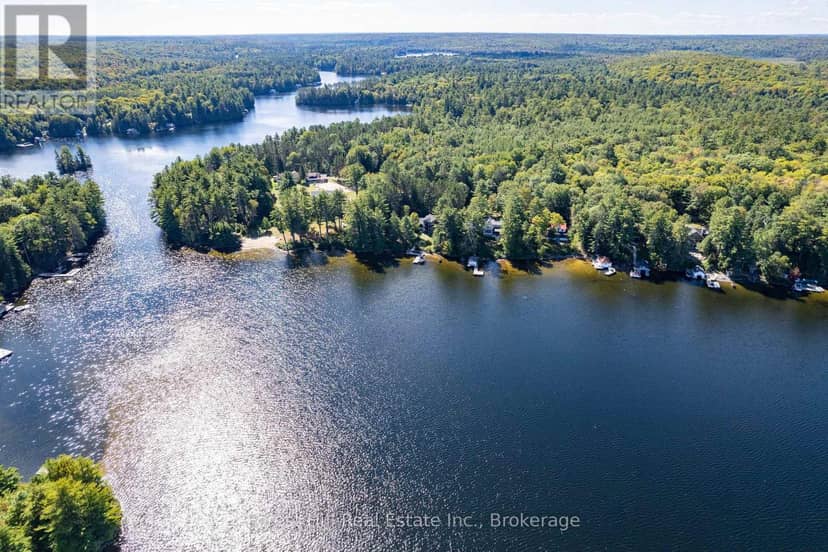 2 - 2991 Muskoka Rd 117 Road, Lake of Bays, photo 5