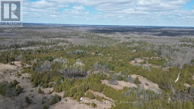 509 12th Line Dummer Road — photo 5 of 7