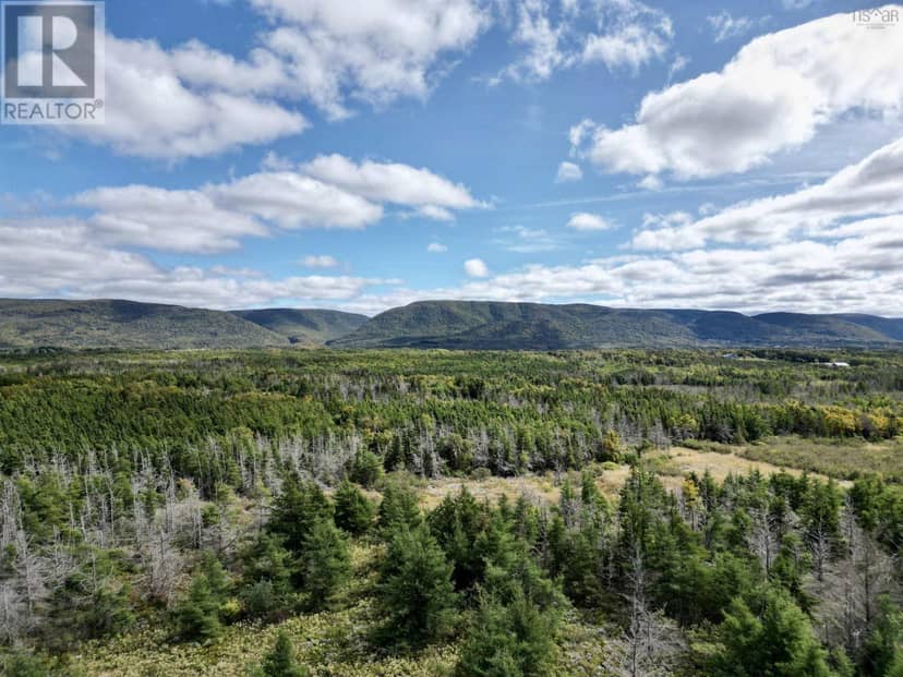 Cabot Trail Road, Chéticamp, photo 8