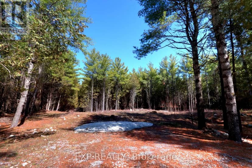 593 County 40 Road, Douro-Dummer