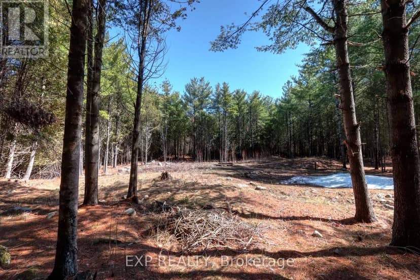 593 County 40 Road, Douro-Dummer, photo 2
