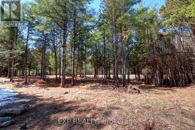 593 County 40 Road, Douro-Dummer, photo 3